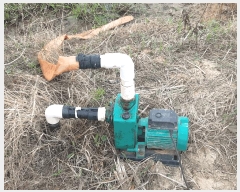  2025Ÿ��721  ����