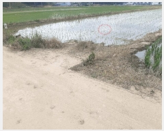  2025Ÿ��721  ����