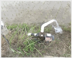  2025Ÿ��721  ����