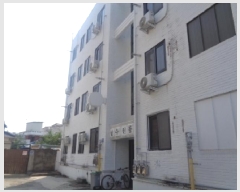  2025Ÿ��784  �ټ���(����)���