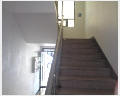  2025Ÿ��784  �ټ���(����)���