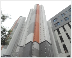  2025Ÿ��802  �ٸ��󰡰��