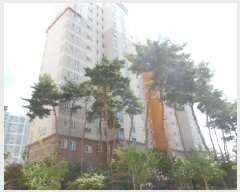  2025Ÿ��825  ����Ʈ���