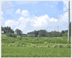  2025Ÿ��861  ����