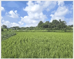  2025Ÿ��861  ����