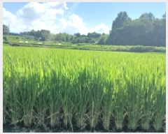  2025Ÿ��861  ����