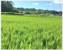  2025Ÿ��861  ����