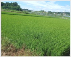  2025Ÿ��861  ����