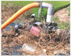  2025Ÿ��861  ����