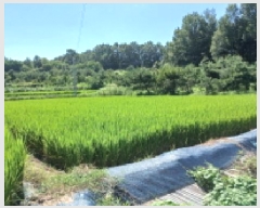  2025Ÿ��861  ����