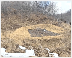  2025Ÿ��30886  �Ӿ߰��