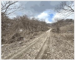  2025Ÿ��30886  �Ӿ߰��