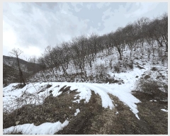  2025Ÿ��30886  �Ӿ߰��