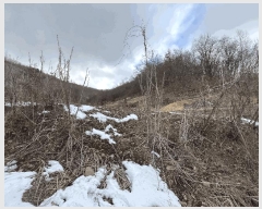  2025Ÿ��30886  �Ӿ߰��