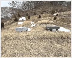  2025Ÿ��30886  �Ӿ߰��