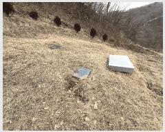  2025Ÿ��30886  �Ӿ߰��