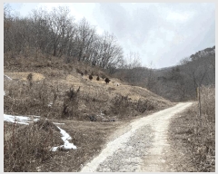  2025Ÿ��30886  �Ӿ߰��