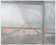  2025Ÿ��30952  ����