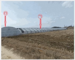  2025Ÿ��30952  ����