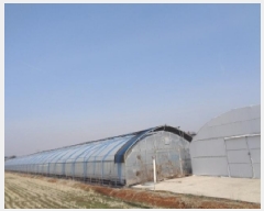  2025Ÿ��30952  ����