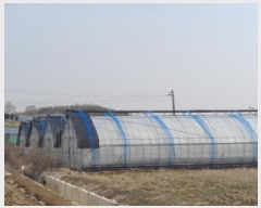  2025Ÿ��30952  ����