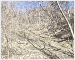  2025Ÿ30968  ӽǱ  ︮ 95-1      (Ӿ)