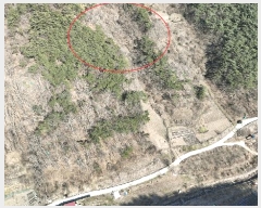  2025Ÿ30968  ӽǱ  ︮ 95-1      (Ӿ)