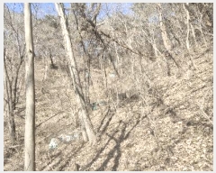  2025Ÿ30968  ӽǱ  ︮ 95-1      (Ӿ)