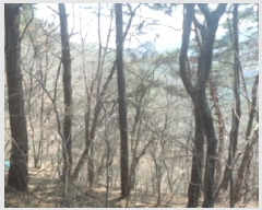  2025Ÿ30968  ӽǱ  ︮ 95-1      (Ӿ)