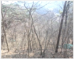  2025Ÿ30968  ӽǱ  ︮ 95-1      (Ӿ)