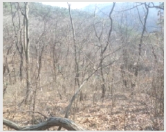  2025Ÿ30968  ӽǱ  ︮ 95-1      (Ӿ)