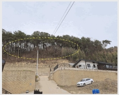  2025Ÿ��31037 ���� ���ֱ� ����� ��߸� 684-2      ����(�Ӿ�)���