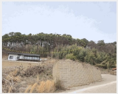  2025Ÿ��31037 ���� ���ֱ� ����� ��߸� 684-2      ����(�Ӿ�)���