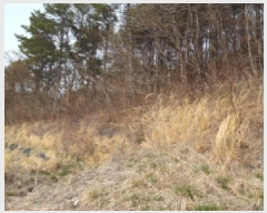  2025Ÿ��31037 ���� ���ֱ� ����� ��߸� 684-2      ����(�Ӿ�)���