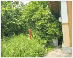  2025Ÿ31093  ֱ γ 縮 442-2      (1)