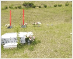  2025Ÿ31093  ֱ γ 縮 442-2      (1)