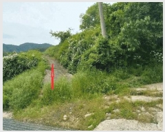  2025Ÿ31093  ֱ γ 縮 442-2      (1)