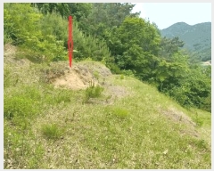  2025Ÿ31093  ֱ γ 縮 442-2      (1)