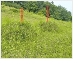  2025Ÿ31093  ֱ γ 縮 442-2      (1)