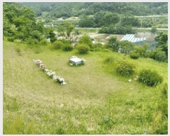  2025Ÿ31093  ֱ γ 縮 442-2      (1)