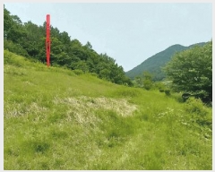  2025Ÿ31093  ֱ γ 縮 442-2      (1)