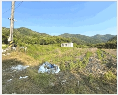  2025Ÿ��31155  �����