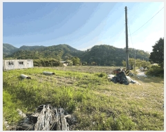  2025Ÿ��31155  �����