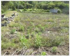  2025Ÿ��31155  �����