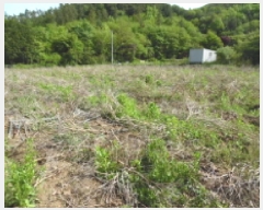  2025Ÿ��31155  �����