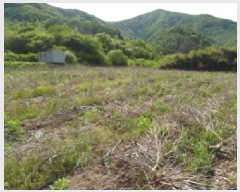  2025Ÿ��31155  �����