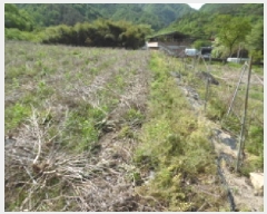  2025Ÿ��31155  �����