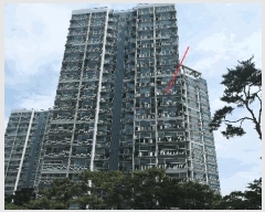  2025Ÿ31239  ֽ  ĵ1 1033 ︲Ʈ 107 131302ȣ   Ʈ