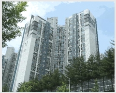  2025Ÿ31239  ֽ  ĵ1 1033 ︲Ʈ 107 131302ȣ   Ʈ