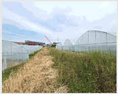  2025Ÿ��31262  ����